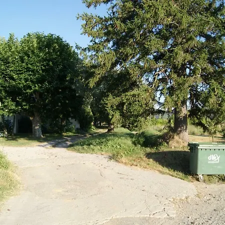 Lavande Volx