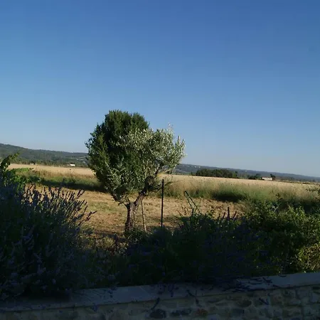 Lavande